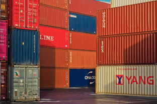 放弃新待遇，中国在WTO开启“负责任参与”新阶段